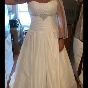 Wedding Dress and Veil